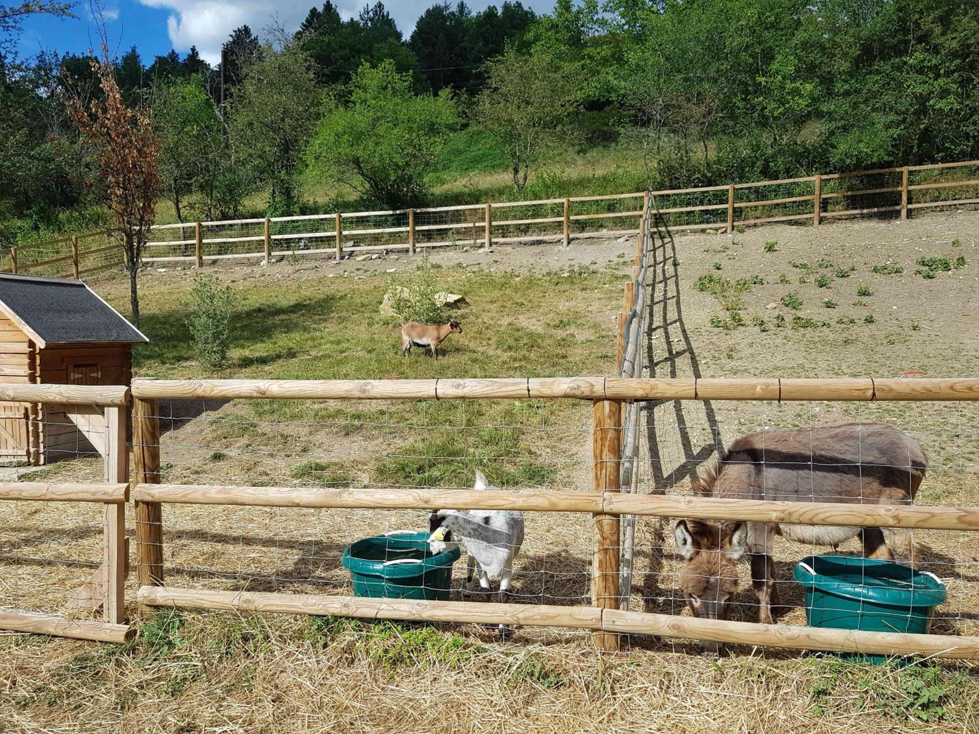 Camping La Ferme De Castellane Εξωτερικό φωτογραφία