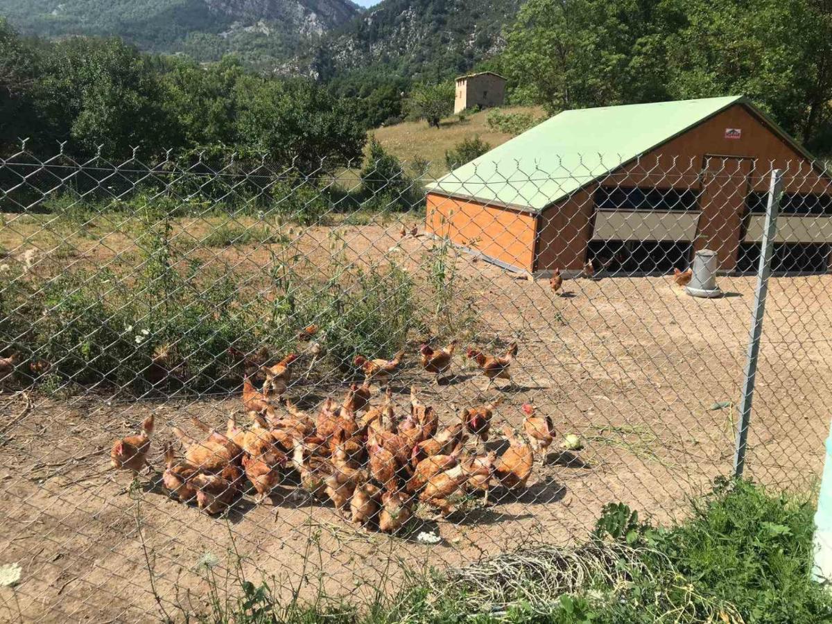 Camping La Ferme De Castellane Εξωτερικό φωτογραφία