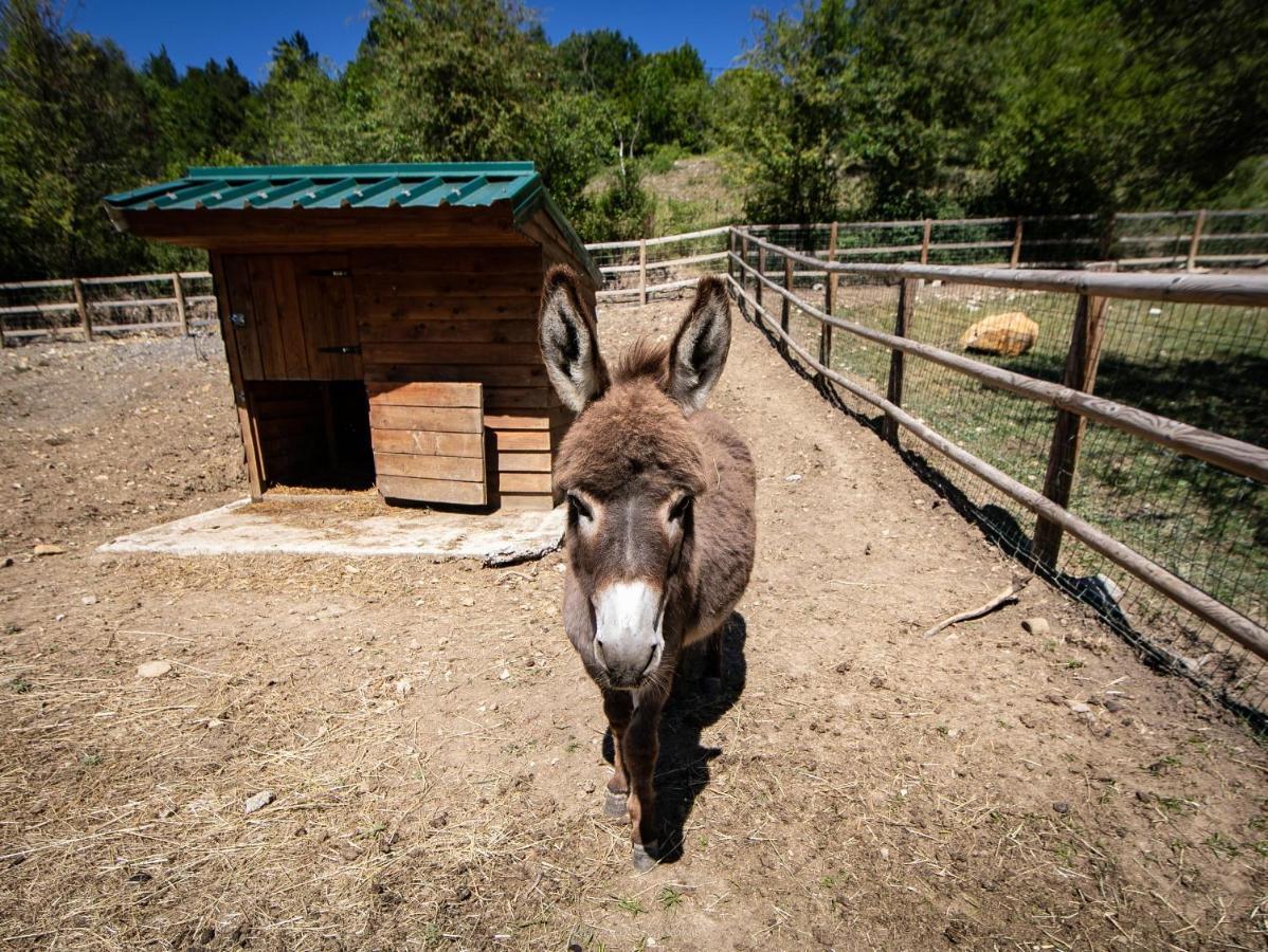 Camping La Ferme De Castellane Εξωτερικό φωτογραφία