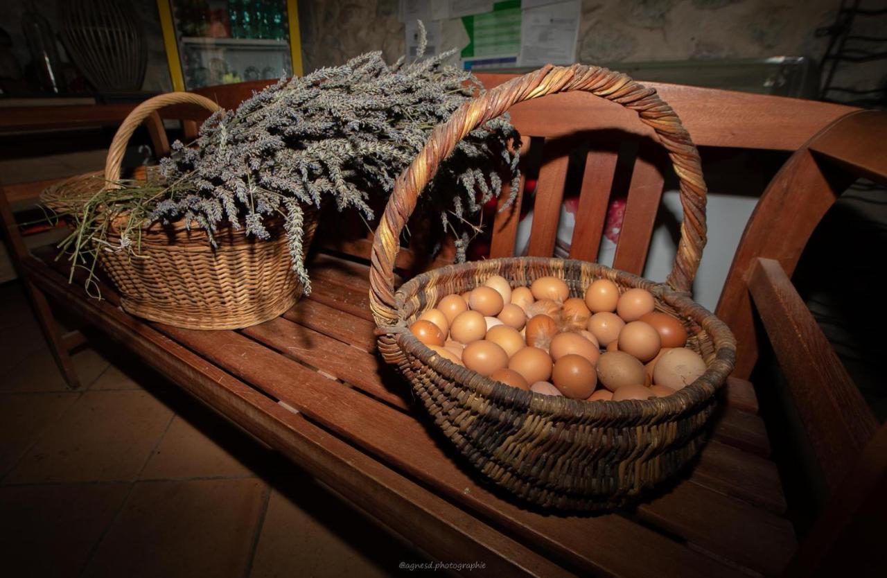Camping La Ferme De Castellane Εξωτερικό φωτογραφία